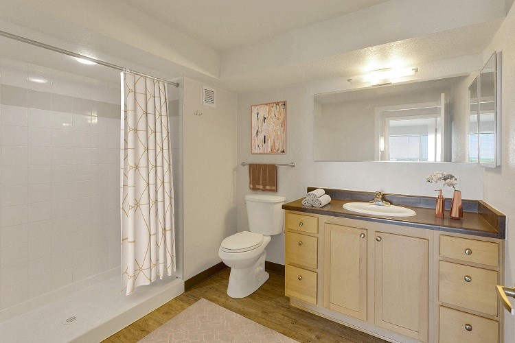 a bathroom with a shower toilet and sink