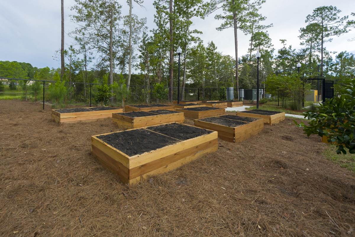 Cassie Gardens Garden Boxes