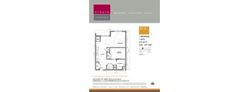 1C-S