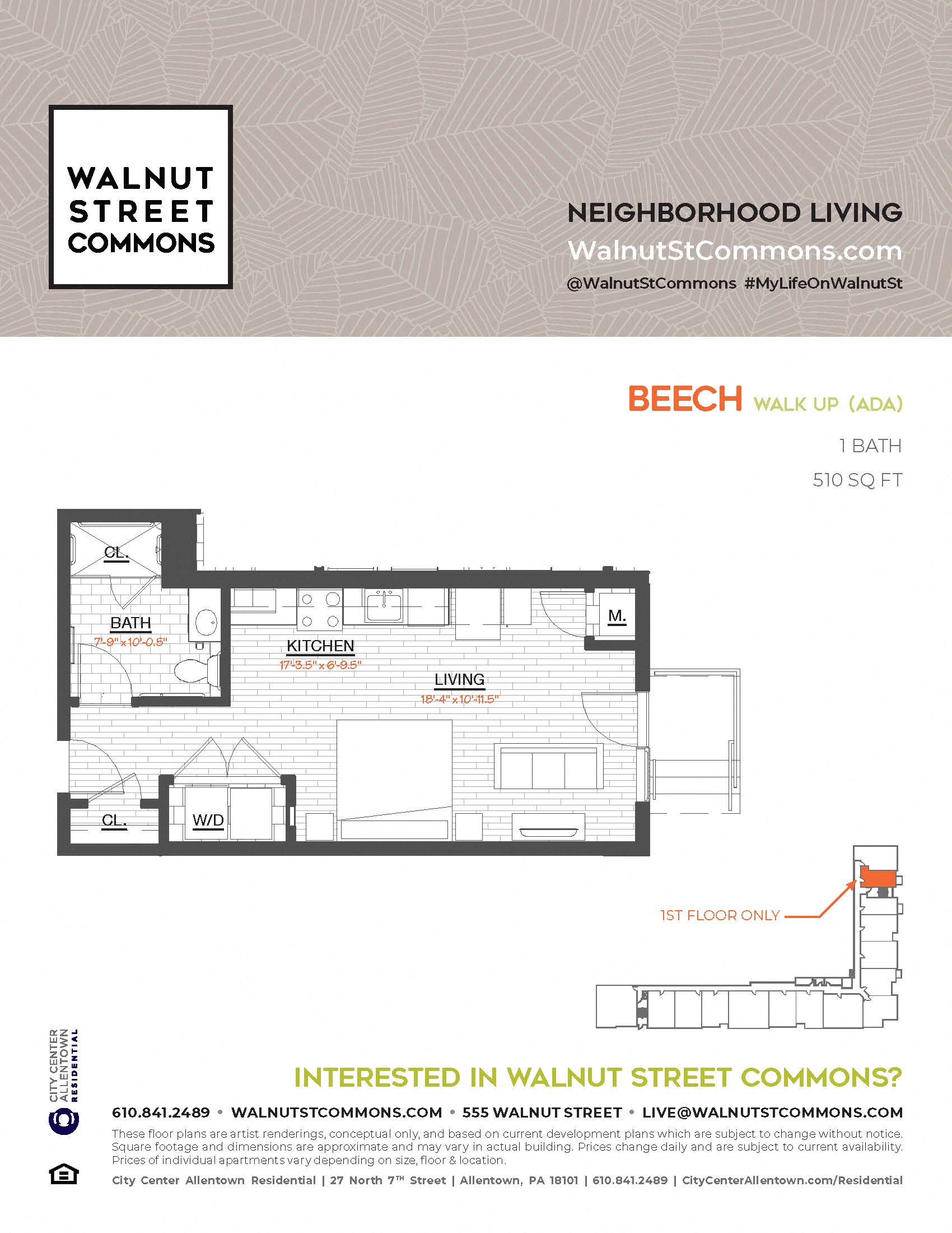 Beech Walk-Up
