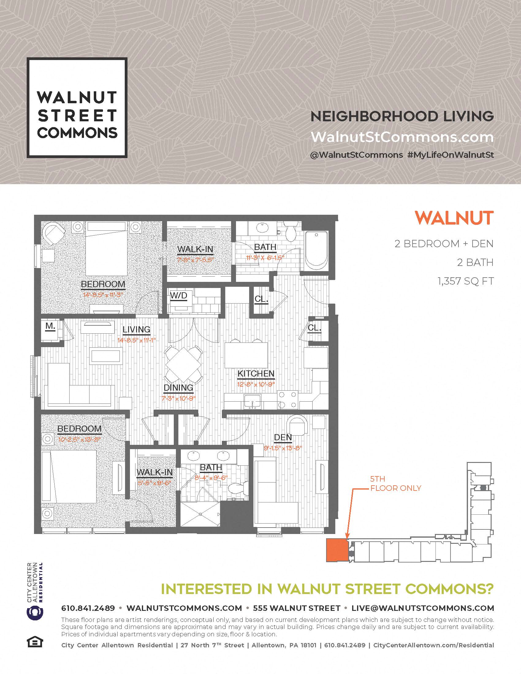 Walnut