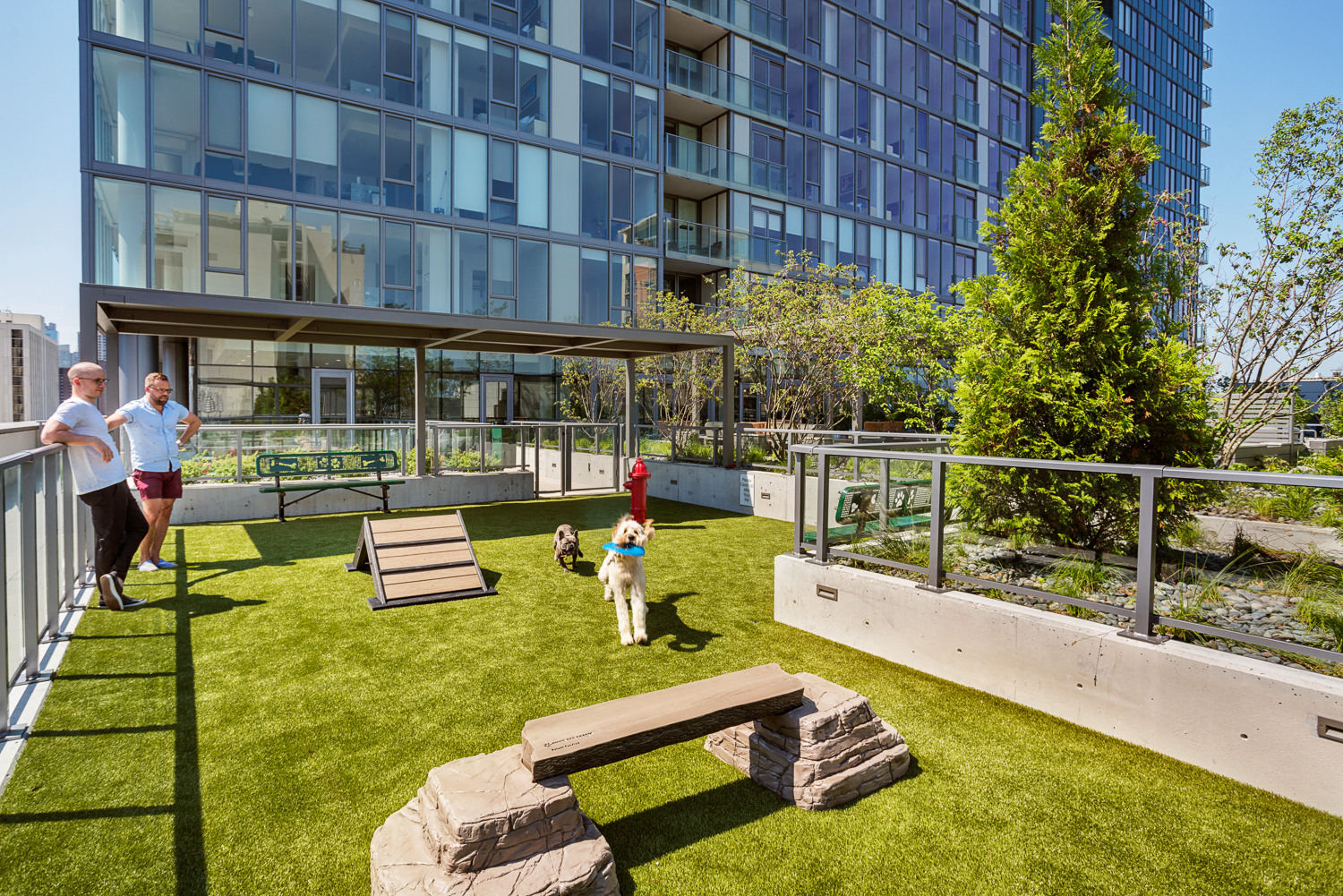 a dog park on the roof of an office building