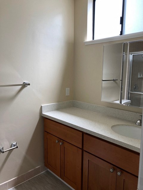 a bathroom with a sink and a mirror