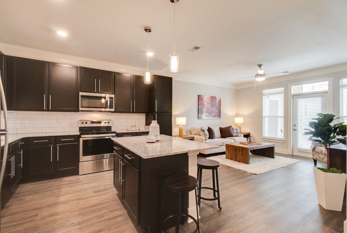 9 ft. Ceilings Throughout at The Edison at Peytona, Gallatin