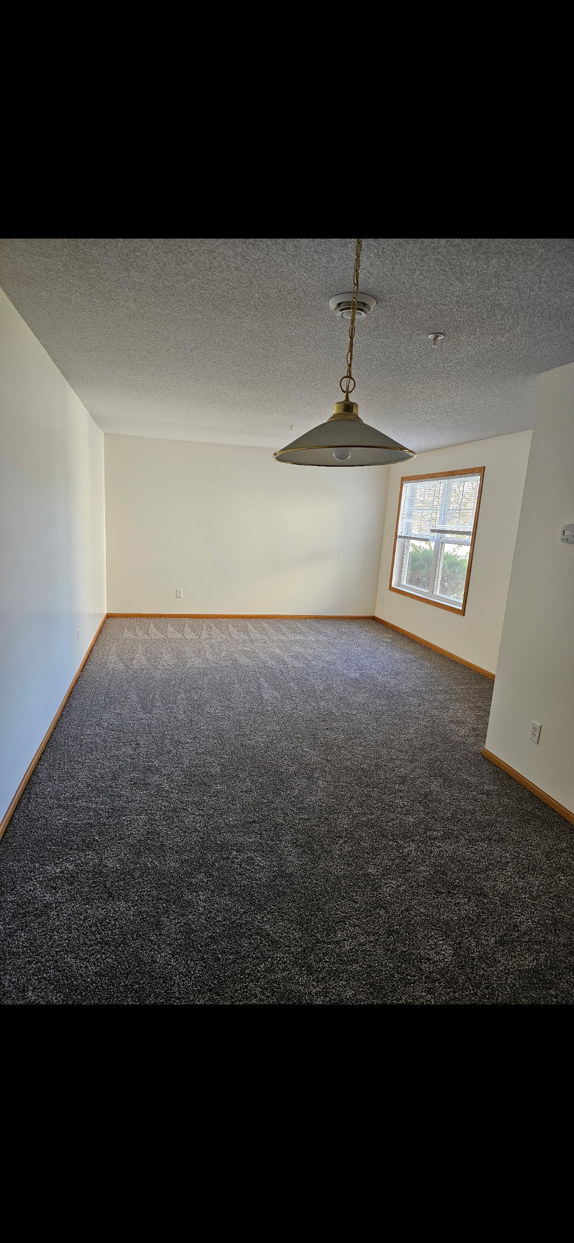 A room with a grey carpet and a hanging light fixture.
