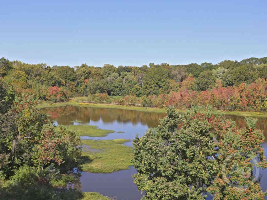 Shadow Lake Apartments, 150 Park Circle, Flowood, MS RentCafe