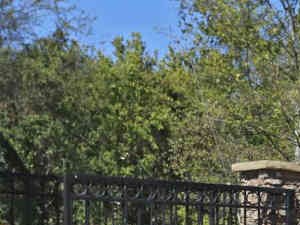 Front Gate 150 Park Circle 2 Beds Apartment for Rent - Photo Gallery