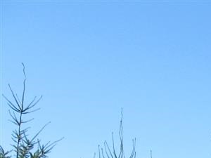 Nature Preserve View at Willina Ranch, Washington