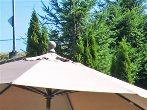 Poolside Dining Tables