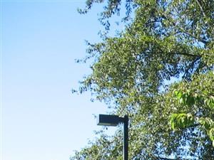 Lighted Walking Trails at Willina Ranch, Bothell,Washington
