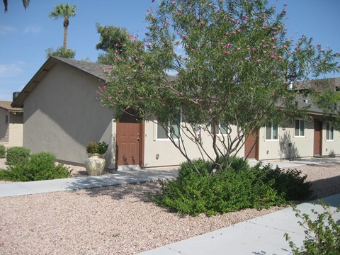 a house with a driveway and a tree in front of it