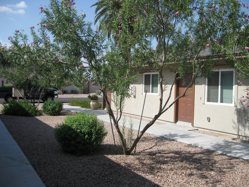 a small tree in front of a house