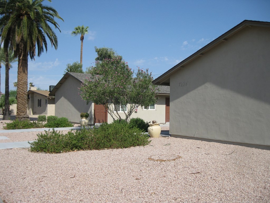 a home with a gravel driveway and a palm tree