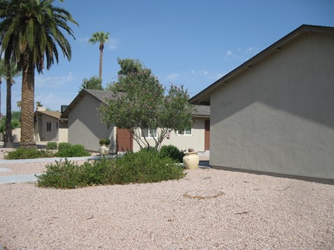 a home with a gravel driveway and a palm tree