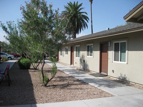 a side view of a tan house with a sidewalk and a palm tree
