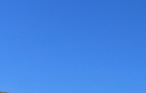 Cane Island | Apartments in Kissimmee, FL