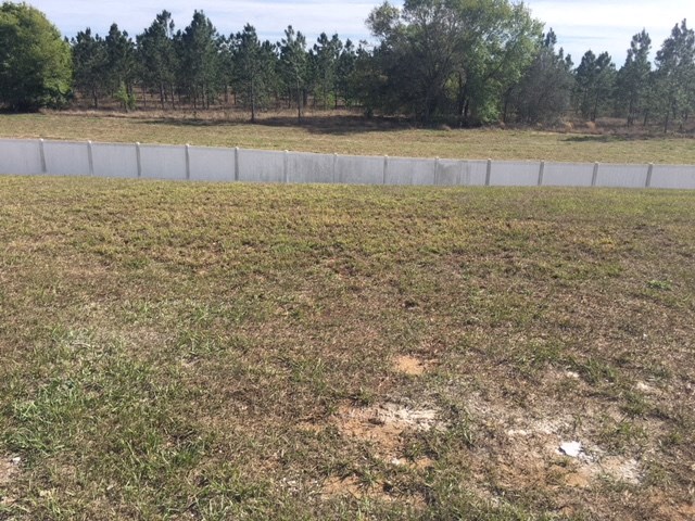 a field of grass with trees in the background