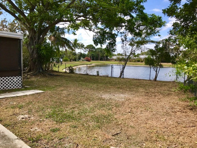 a yard with a body of water and a tree
