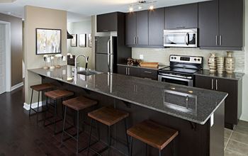 Pet Friendly Apartments For Rent In Ottawa On Rentcafé