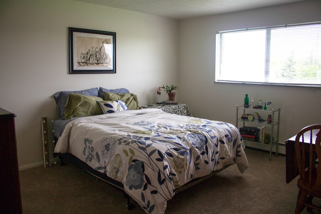 a bedroom with a bed and a window