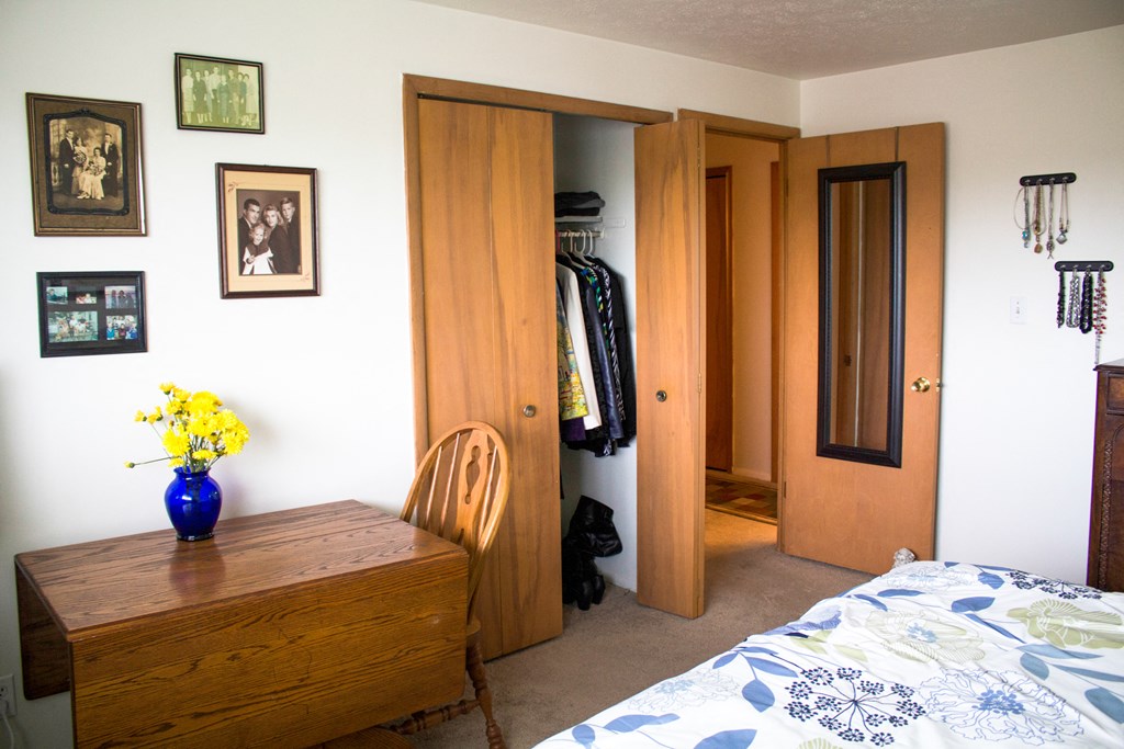 a bedroom with a bed and a dresser and a closet