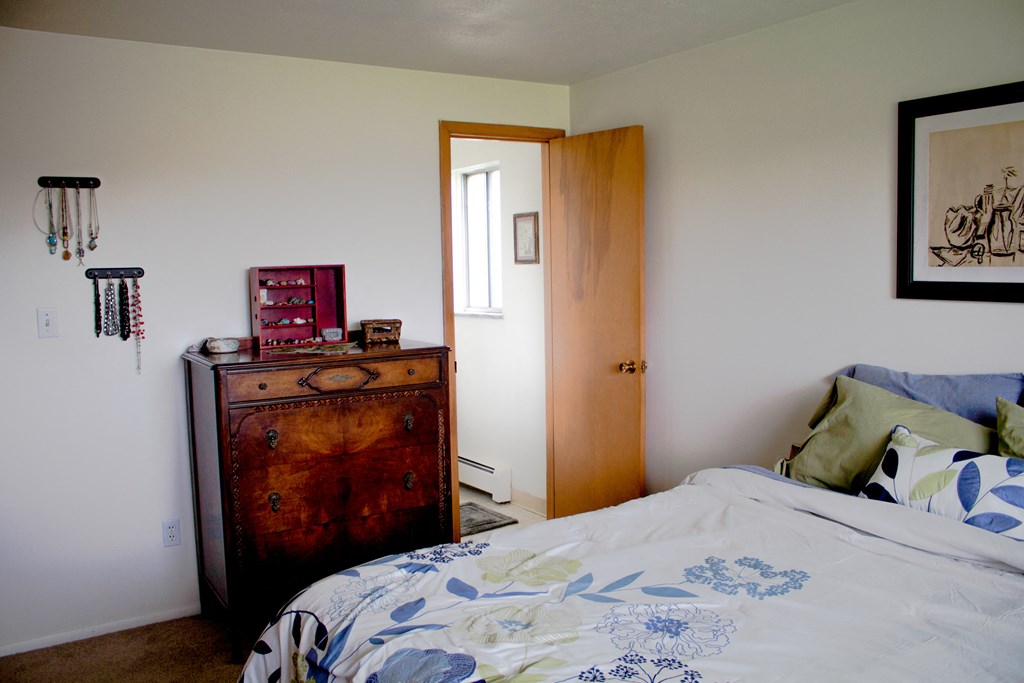 a bedroom with a bed and a dresser