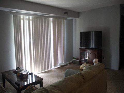 a living room with a couch and a television