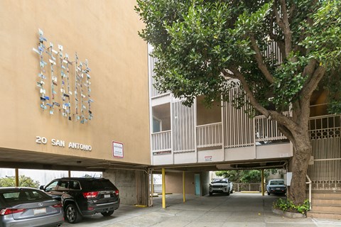 A tree is in front of a building with a sign that says 20 San Antonio.