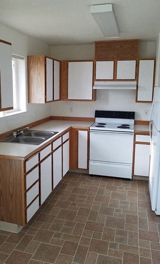 Image of refrigerator, stove, range hood, cabinets and sink