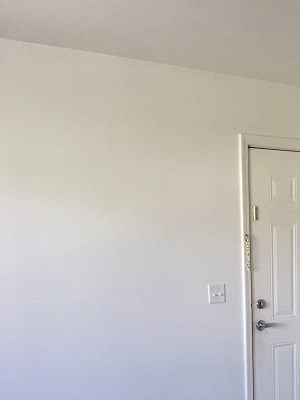 Living Room - Entry Image of entry way and closet along side