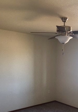 Bedroom Image of carpet room with fan and window - Photo Gallery 3
