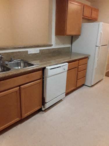 Image of sink/faucet, cabinets, counter space, dish washer, and fridge
