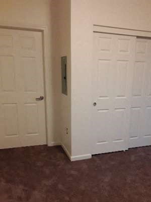 Closet Image of closed closet in carpeted room