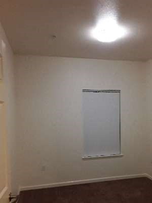 Bedroom Image of bedroom with carpet and window