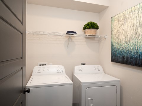 two washers and dryers in a laundry room with a door and a plant