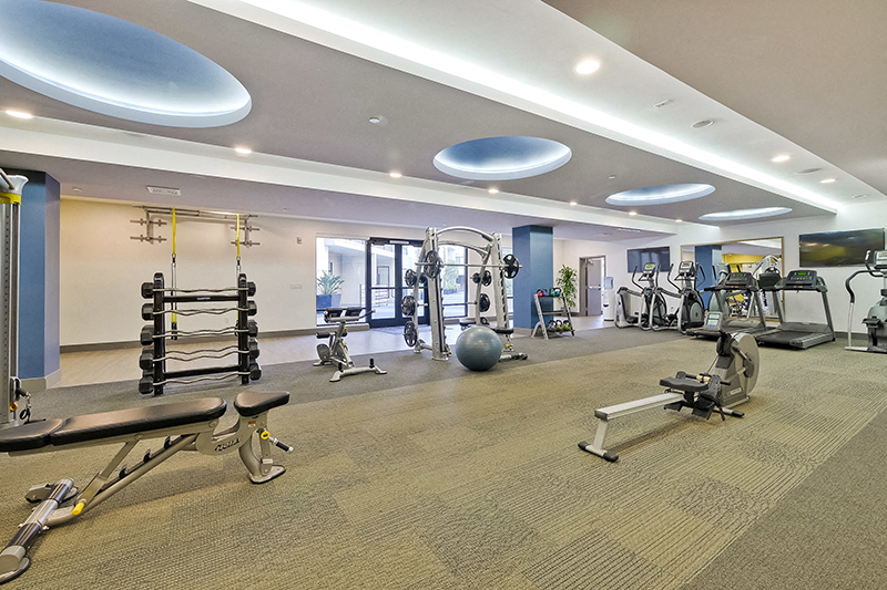 Dog-Friendly Apartments in Campbell, CA - Revere Campbell - Fitness Center with Cardio Equipment, Free Weights, and Bench Press