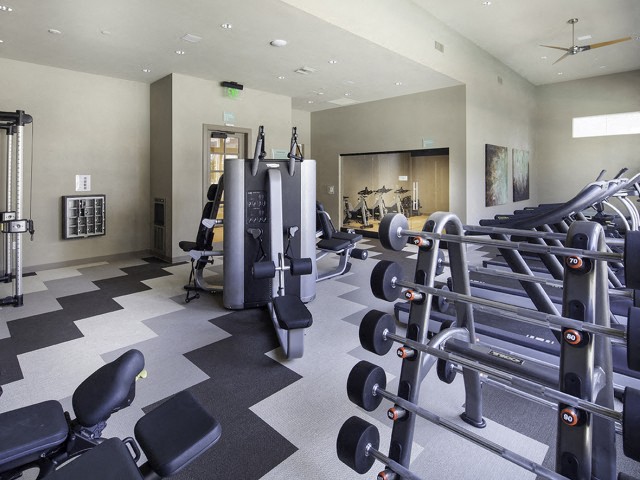 24 Hour Fitness Center at Skye Apartments in Vista CA
