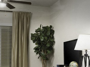 Warm Chestnut Home 1 Bedroom Living Room at Skye Apartments in Vista CA