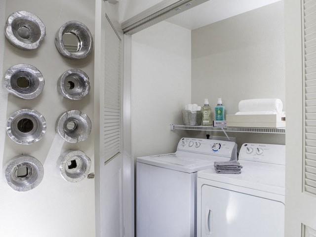 Washer and Dryer at Skye Apartments in Vista CA