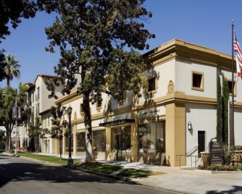 Beautiful Surroundings Beautiful Surroundings at Trio Apartments, Pasadena, CA 91101 - Photo Gallery 3
