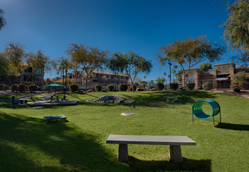 Outside Pet Park at Forty Two 25 Apartments