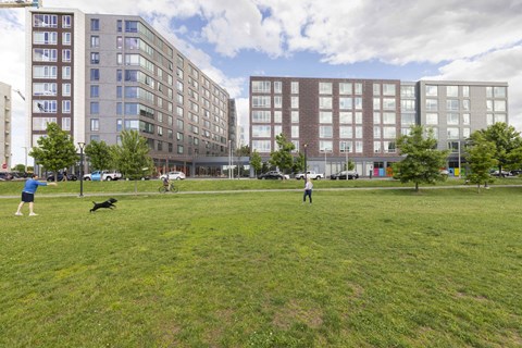 a group of people playing with a dog in a park