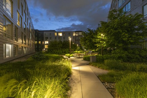 a lit up walkway through a lush green garden at night