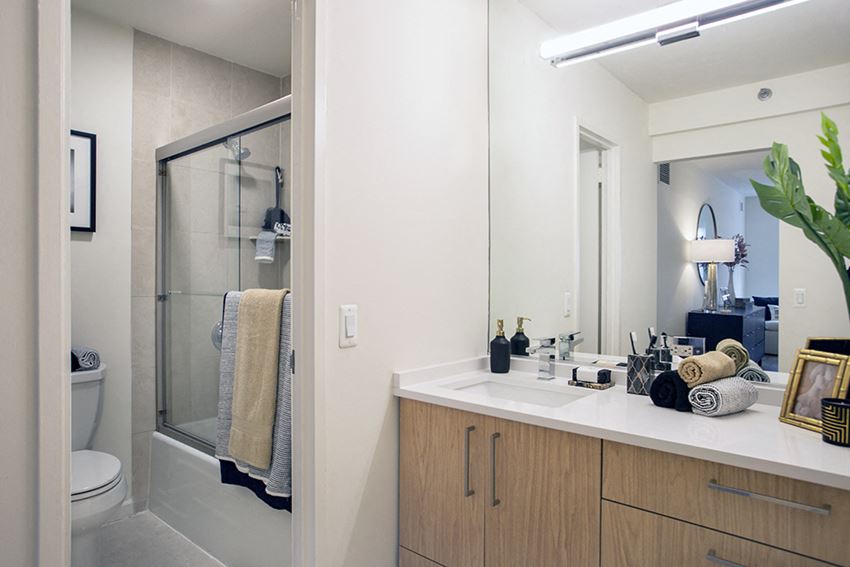 In-suite Primary Bathroom Primary In-suite Bathroom at the Metro in White Plains - Photo Gallery