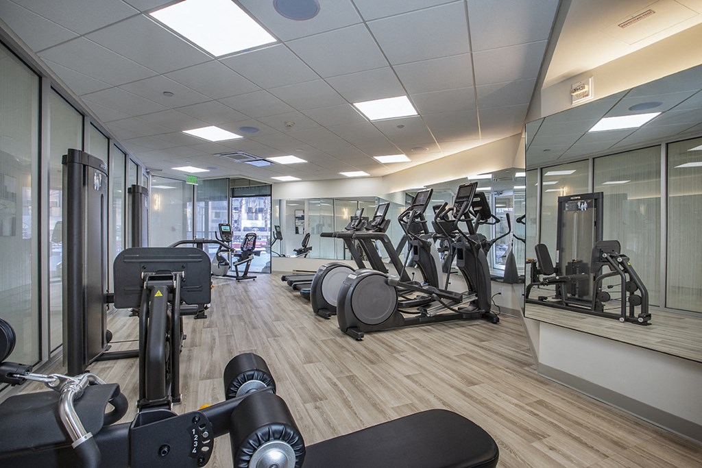 Metro White Plains Luxury Apartments Gym