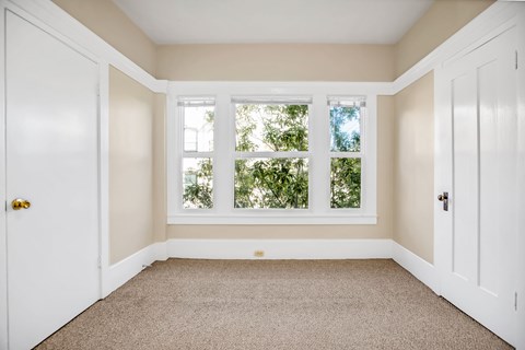 A room with a carpeted floor and a window with white frames.