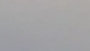 1 Bedroom Apartments For Rent Near Me Under 700 - mangaziez