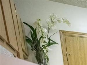Breakfast Bar at Sterling Park Apartments in Grove City Ohio