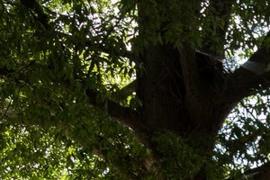 Exterior - Photo Gallery 3