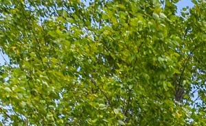 Exterior - Photo Gallery 3